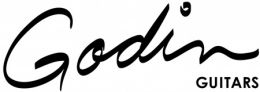 Logo Godin