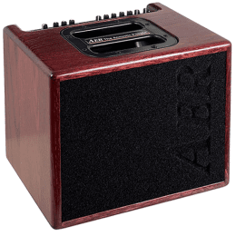Aer Compact 60 IV Caoba Amplificador combo acústico