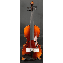 Amadeus VS303E44B 4/4 (Ajustado) Set Violín de Conservatorio