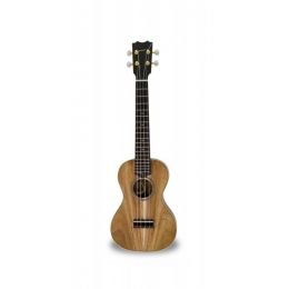 Antonio Pinto Carvalho Ukelele CC