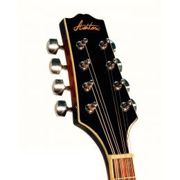 Ashton MDE200 Mandolina electroacústica ashton_mde200-mandolina-imagen-3-thumb