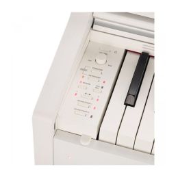 casio_celviano-ap-270we-imagen-2-thumb