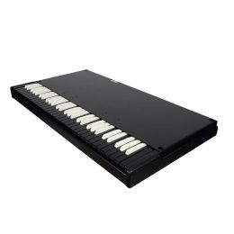 Crumar Mojo 61B lower manual LTD Teclado inferior para Mojo 61
