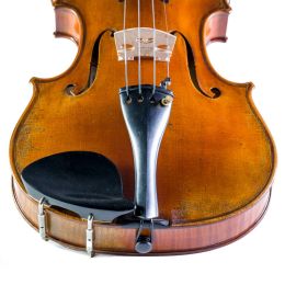 Drunkat Barbada violín ACBAVIDR12 Barbada para violín  drunkat_barbada-violin-dresden-lateral-plastico-1--imagen-1-thumb
