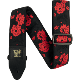 ernie-ball_aeb5335-imagen-0-thumb