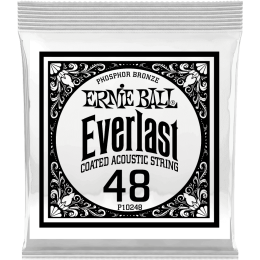 ernie-ball_ceb10248-imagen-0-thumb