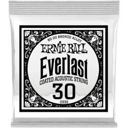 ernie-ball_ceb10330-imagen-2-thumb