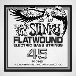 ernie-ball_ceb10845-imagen-2-thumb