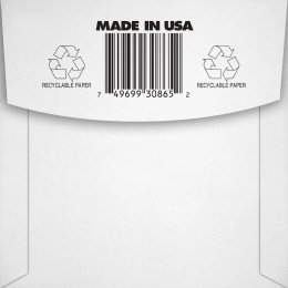 ernie-ball_ceb10865-imagen-1-thumb