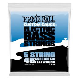 ernie-ball_eb2810-entorchcado-plano-5st-45-130-imagen-0-thumb