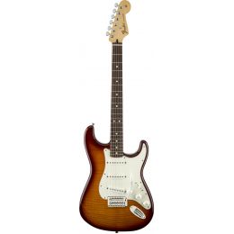 Fender Standard Stratocaster RW Plus Top Tobacco Sunburst