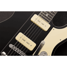 fishman_efiprfp9sgc2-imagen-2-thumb