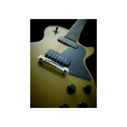 fishman_efiprfp9sgk2-imagen-2-thumb