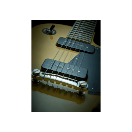 fishman_efiprfp9sgk2-imagen-3-thumb