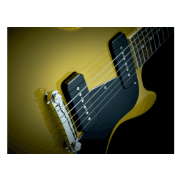 fishman_efiprfp9sgk2-imagen-4-thumb