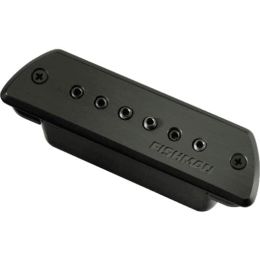 Fishman Efiproblkstk