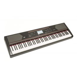 Korg Havian 30