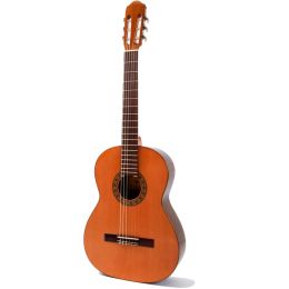 Raimundo 123 Cedro Guitarra clásica de iniciación