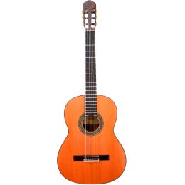 Raimundo 131 Cedro Ziricote