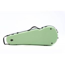 rapsody_estuche-de-viola-rainbow-forma-mint-menta-imagen-1-thumb