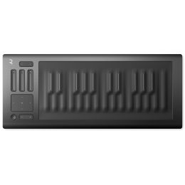 Roli Seaboard Rise 25