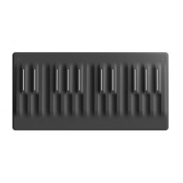 Roli Seaboard Block