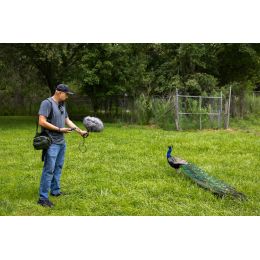 zoom_h1-xlr-imagen-4-thumb