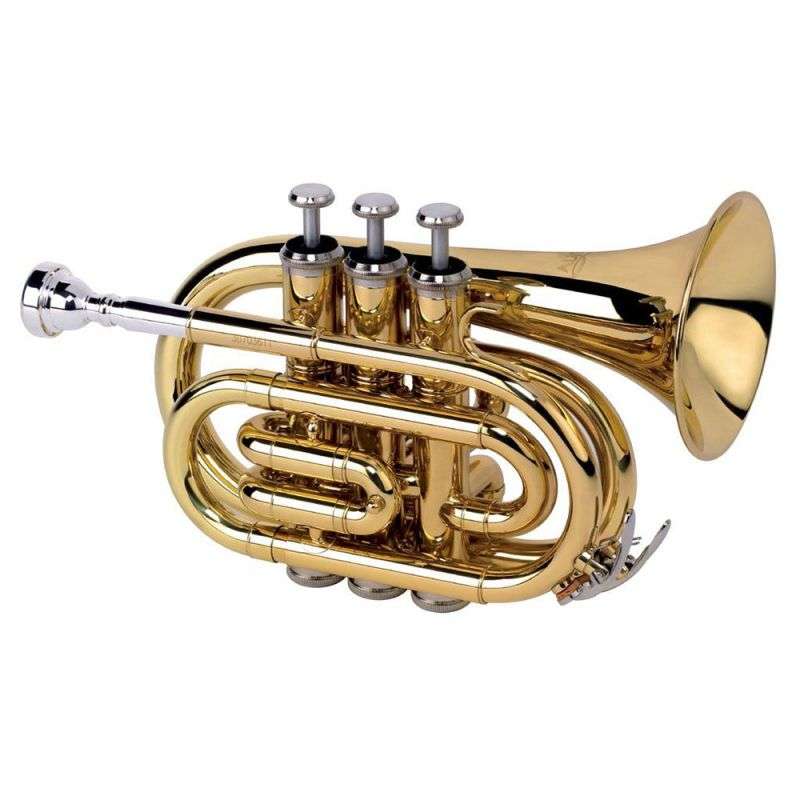 TR-6500