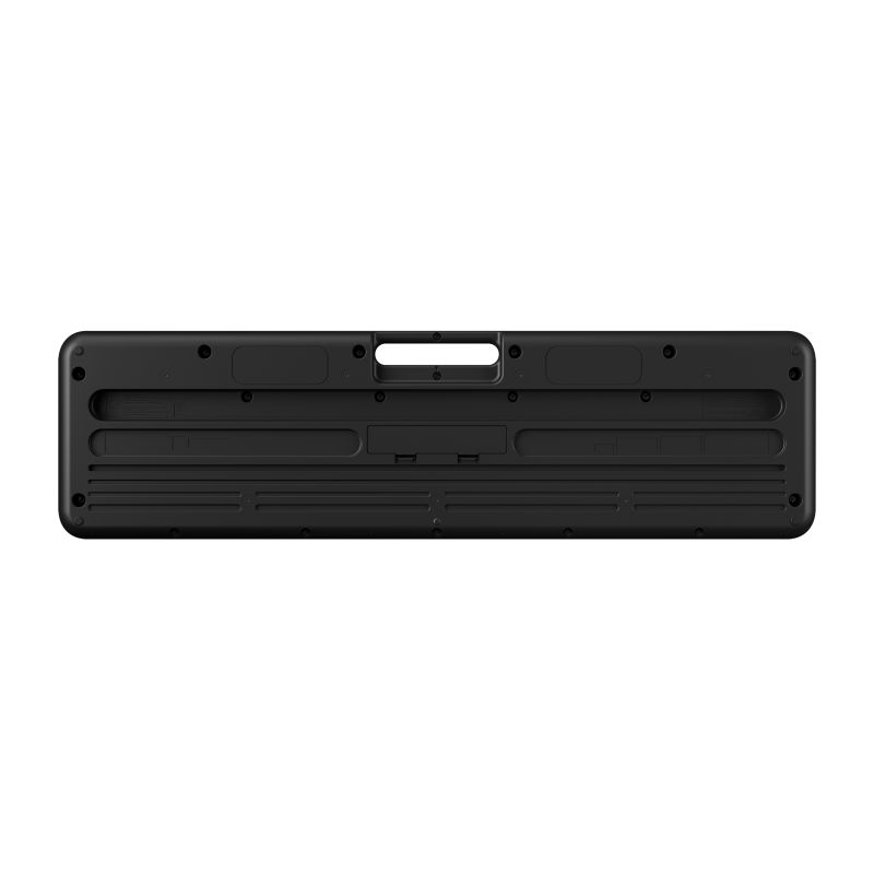 casio_lk-s250-casiotone-imagen-3