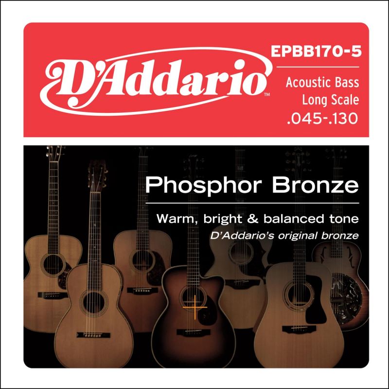 d-addario_epbb170-5-phosphor-bronze-5-string-long--imagen-0