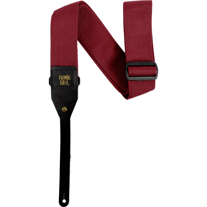 ernie-ball_aeb5367-imagen-4