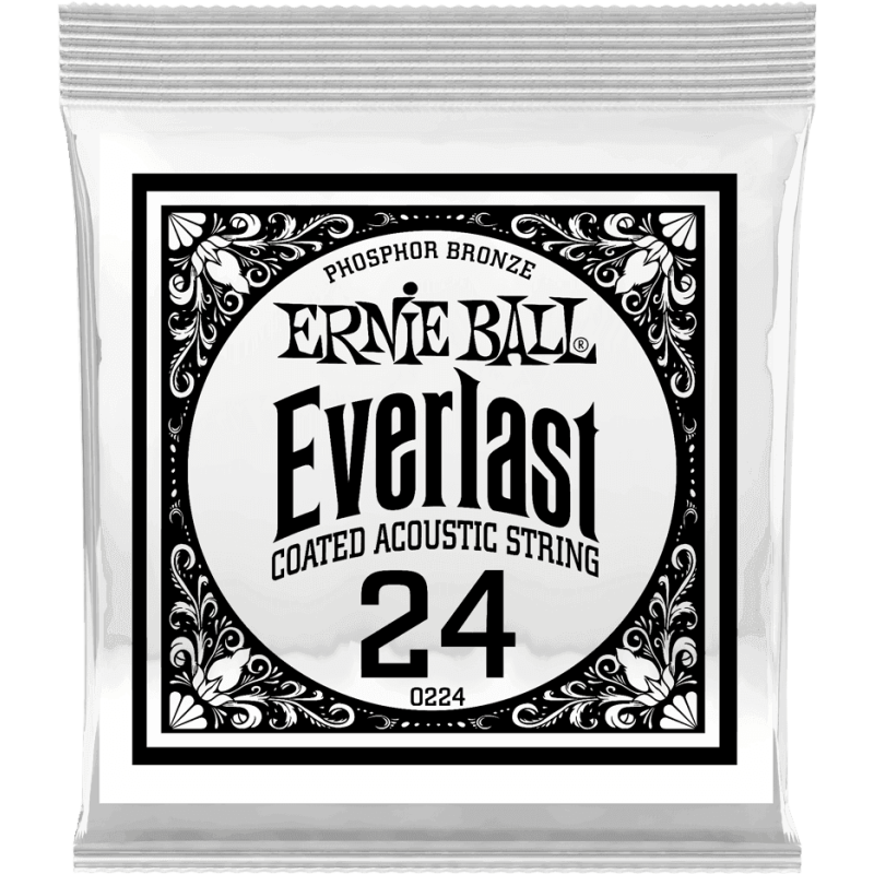 ernie-ball_ceb10224-imagen-2