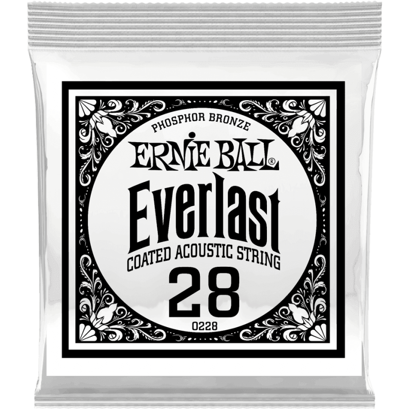 ernie-ball_ceb10228-imagen-0