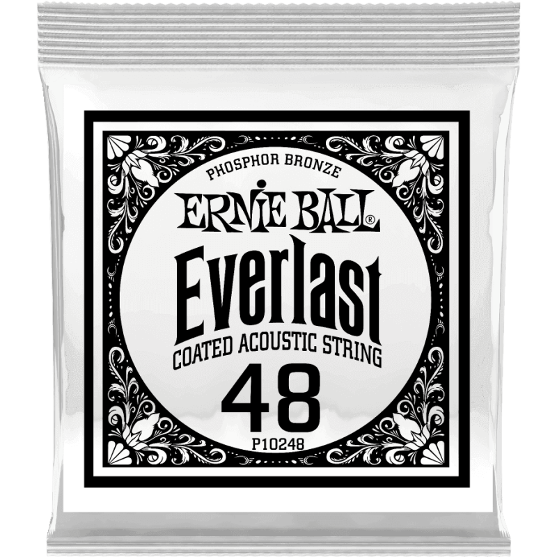ernie-ball_ceb10248-imagen-2