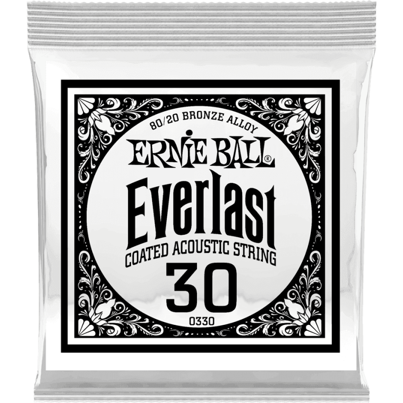 ernie-ball_ceb10330-imagen-2