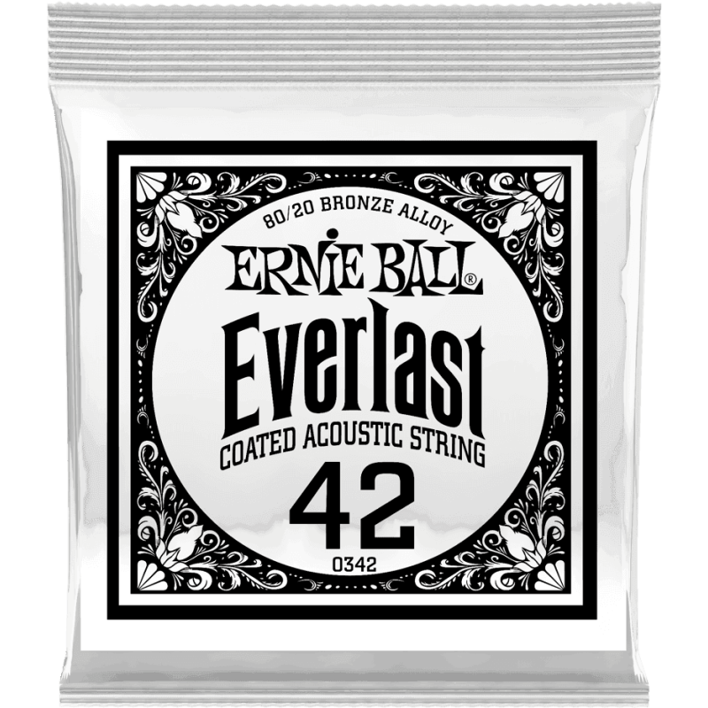 ernie-ball_ceb10342-imagen-0