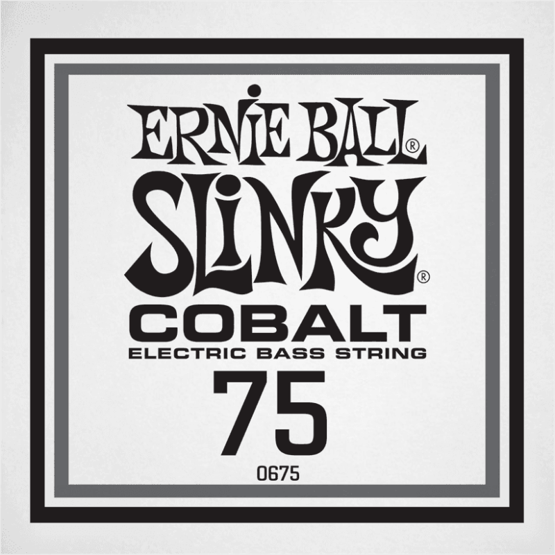 ernie-ball_ceb10675-imagen-2