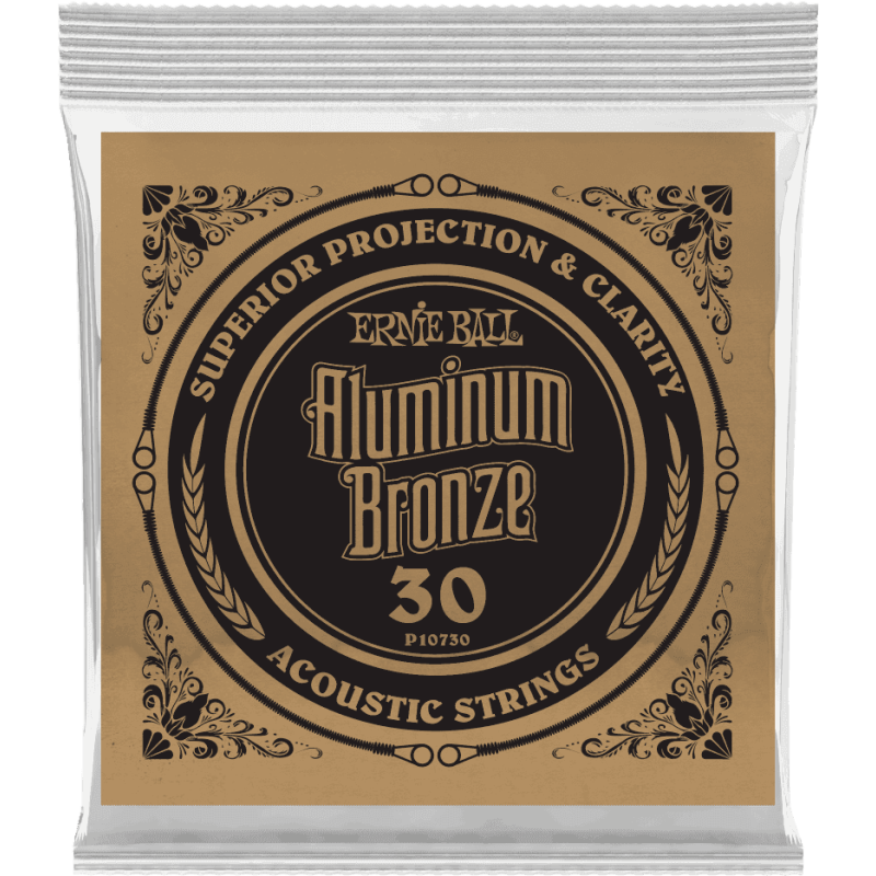 ernie-ball_ceb10730-imagen-2