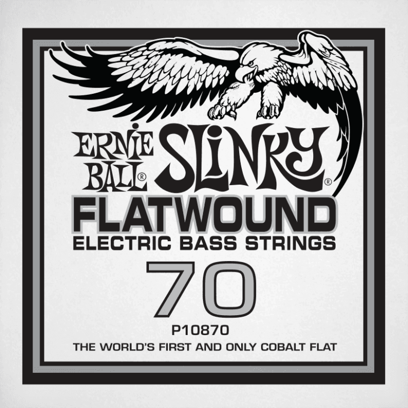 ernie-ball_ceb10870-imagen-0