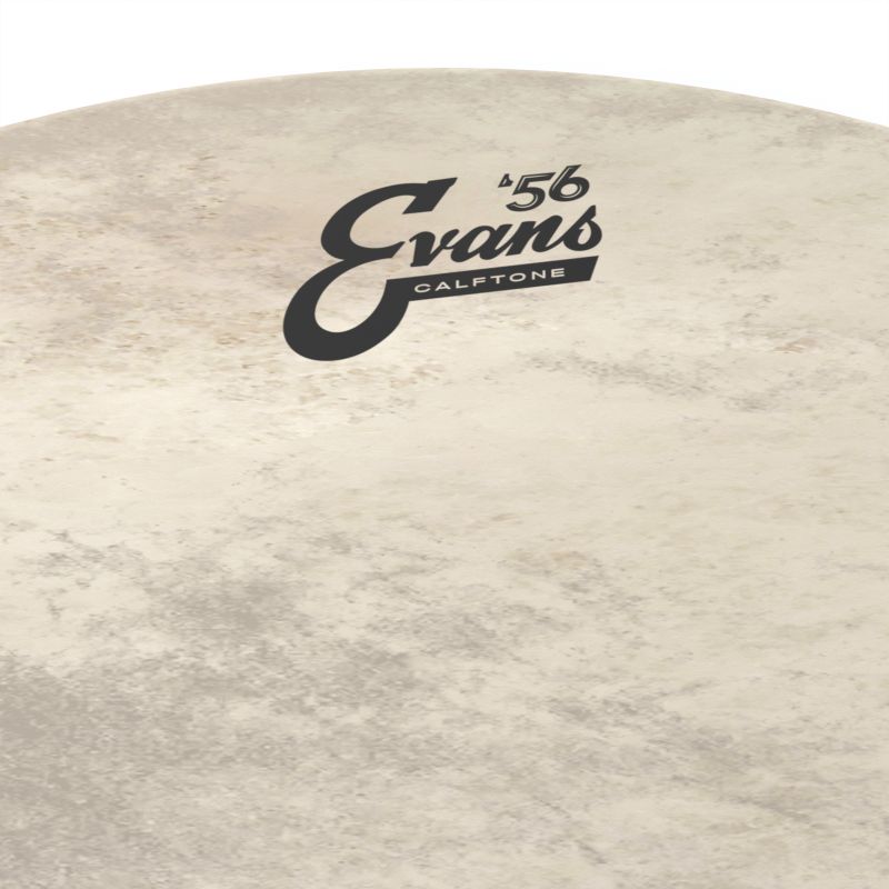 evans_bd16ct-imagen-1