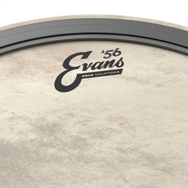 evans_bd18emadct-imagen-1