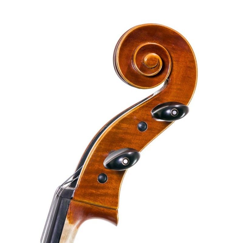 f-muller_cello-virtuoso-7-8-imagen-3