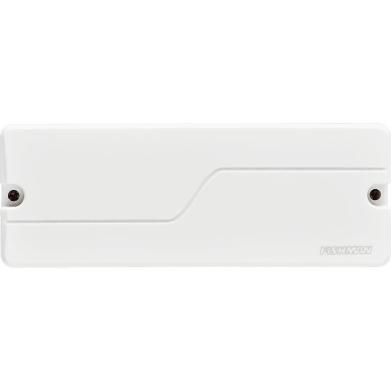 fishman_efiprf-m38-cw1-imagen-1