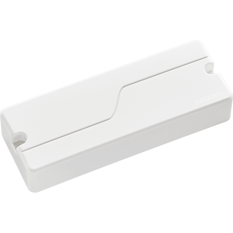 fishman_efiprf-m38-cw1-imagen-2