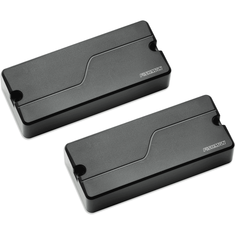 fishman_efiprfbs4sb2-imagen-0