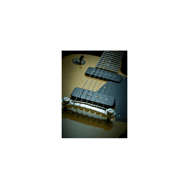 fishman_efiprfp9sgk2-imagen-3