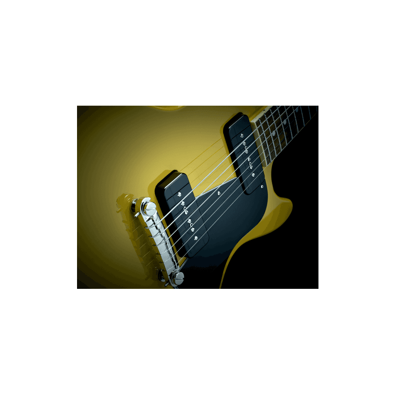 fishman_efiprfp9sgk2-imagen-4