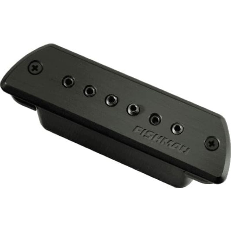 fishman_efiproblkstk-imagen-0