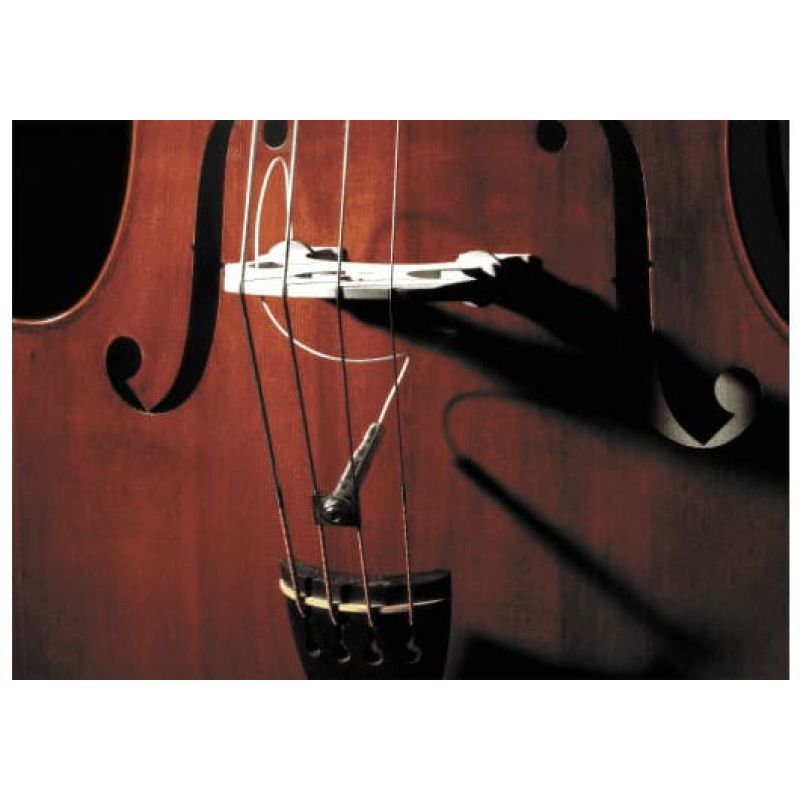 fishman_efiprofcl001-imagen-0