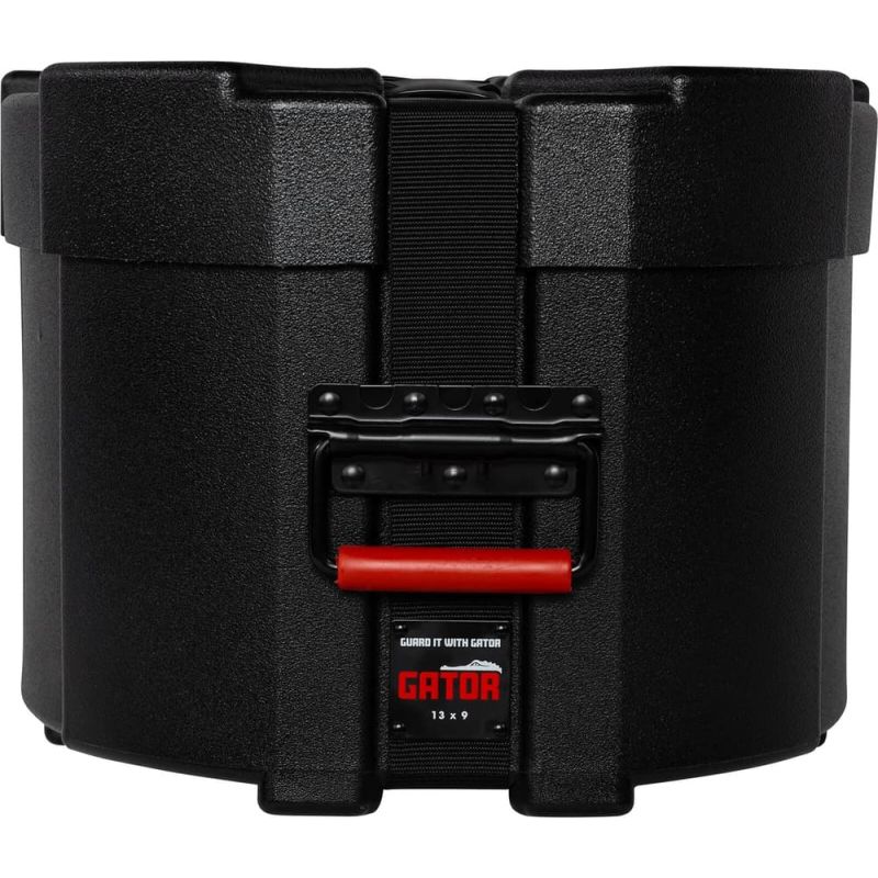 gator_hgagpc1309-imagen-3